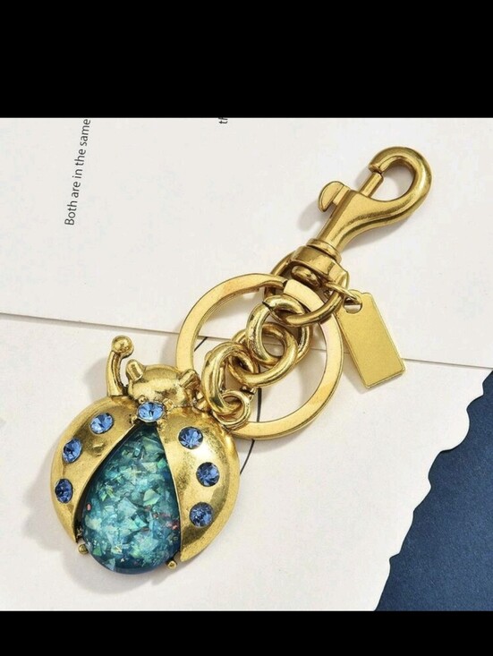 Accessories - Ladybug Bag Charm/keychain NEW